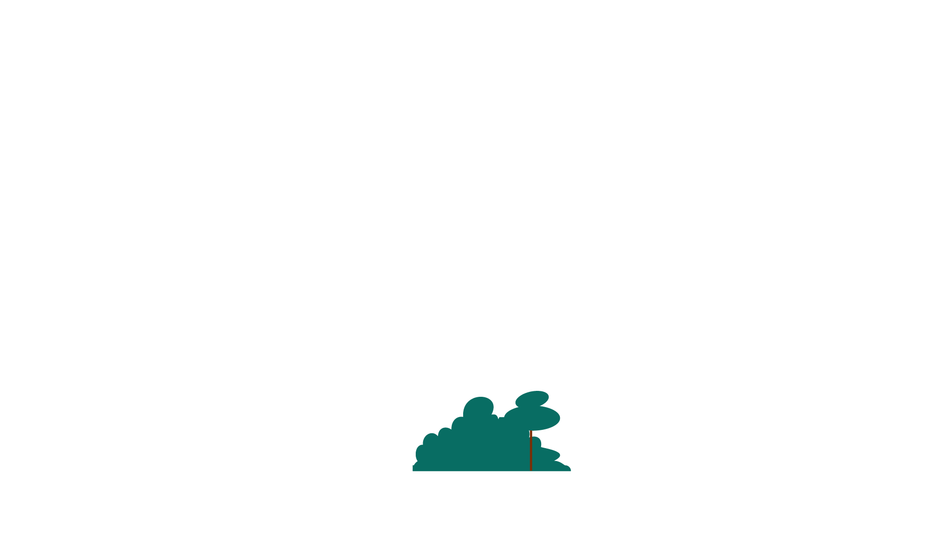 Árbol