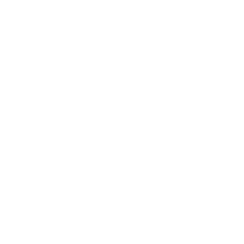 MEPhI